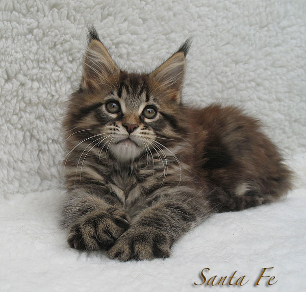 Santa Fe