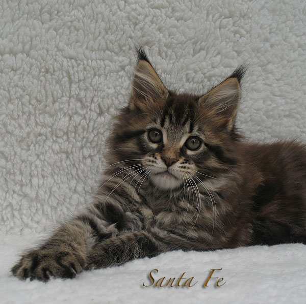 Santa Fe